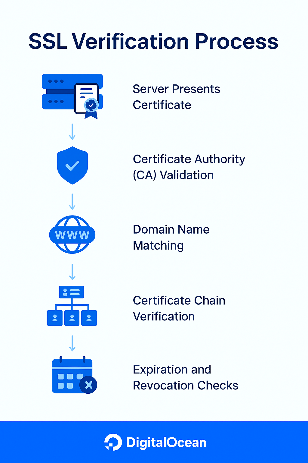 SSL verification process