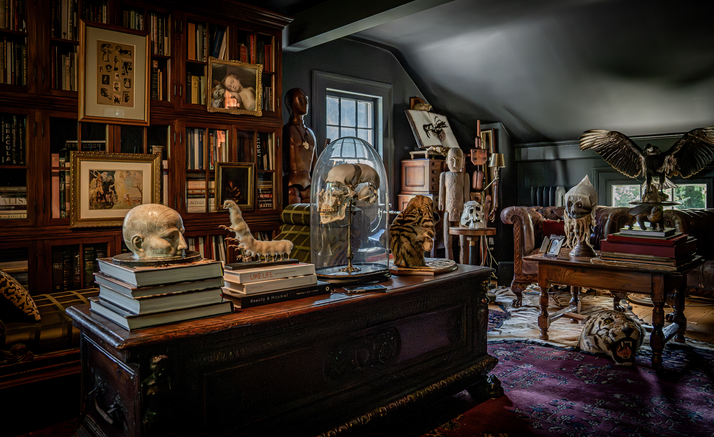 A richly decorated library or study with dark wood bookshelves filled with books and framed artwork. The room contains various sculptures and artifacts including skulls, animal mounts, and a large eagle statue. There is a leather sofa and a wooden coffee table with stacks of books. The room has a dark, moody atmosphere with window light highlighting the eclectic collection of decor.
